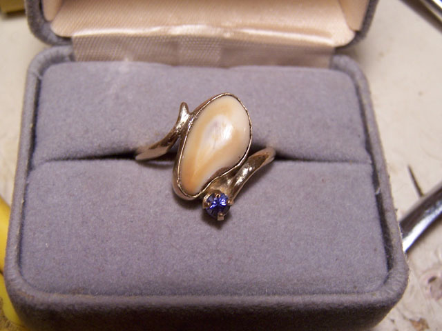 Elk Tooth