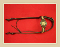 Harness leather headstall with Rawhide stars and  braiding on brow band with Horseshoe hardware.