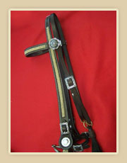 Headstall with buckle adjustment on pole, fancy Conchos and rawhide braiding