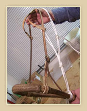 Rawhide bosal with double eared hanger, rawhide braiding and silver buckles and feidor
