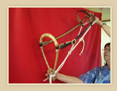 1/2 inch rawhide bosal with color string , leather hanger with rawhide lace, rawhide laced buckle and fiador