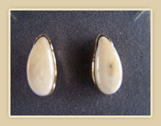 Elk tooth and gold post earrings