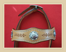 Fancy headstall