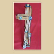 Fancy Headstalls