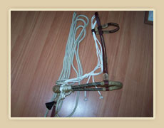 Hackamore with fiador