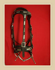 Black harness leather headstall with caveson and silver bars