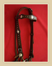 Headstall with silver diamonds, silver Conchos and horseshoe buckles