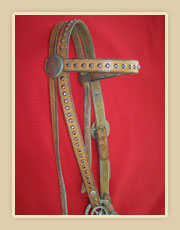 Headstall with silver spots