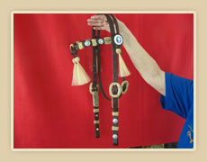 Headstall with cross Conchos, star Conchos, horse hair tassels and rawhide braiding