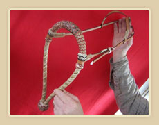 Rawhide bosal with colored string, double ear hanger with rawhide knots and silver buckles