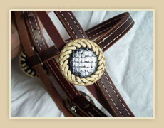 Snake skin rosettes with rawhide or leather braiding
