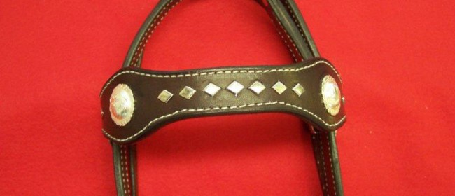 Headstall with diamond spots, Buckle adjustment on pole fancy Conchos