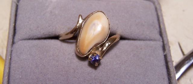 14k gold with an elk tooth and Yogo sapphire