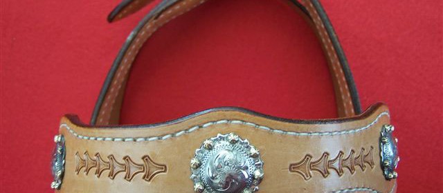 Fancy Headstall