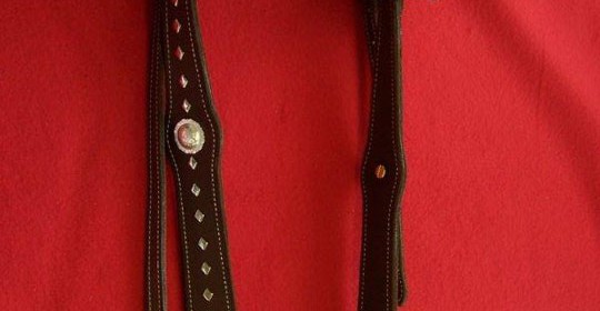 Headstall with silver diamonds, silver Conchos and horseshoe buckles
