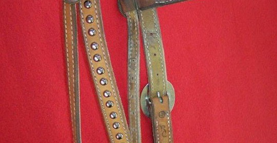Headstall with silver spots