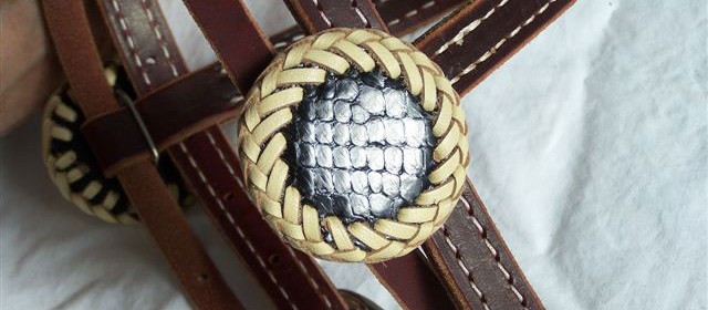 Snake skin rosettes with rawhide or leather braiding